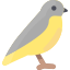 bird-centrevete-aubel